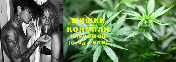 ешки Аркадак